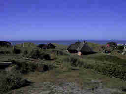 Henne Strand von der D�ne Richtung Strand