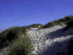 D�nenlandschaft Henne Strand / Daenemark