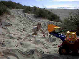 D�nen Landschaft Henne Strand / Daenemark